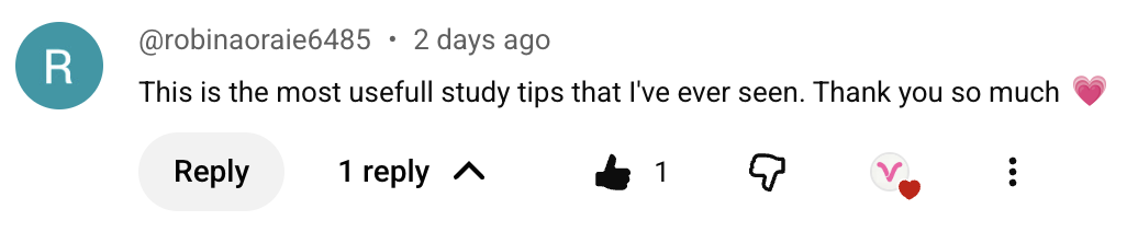 youtube comment from @robinaoraie6485